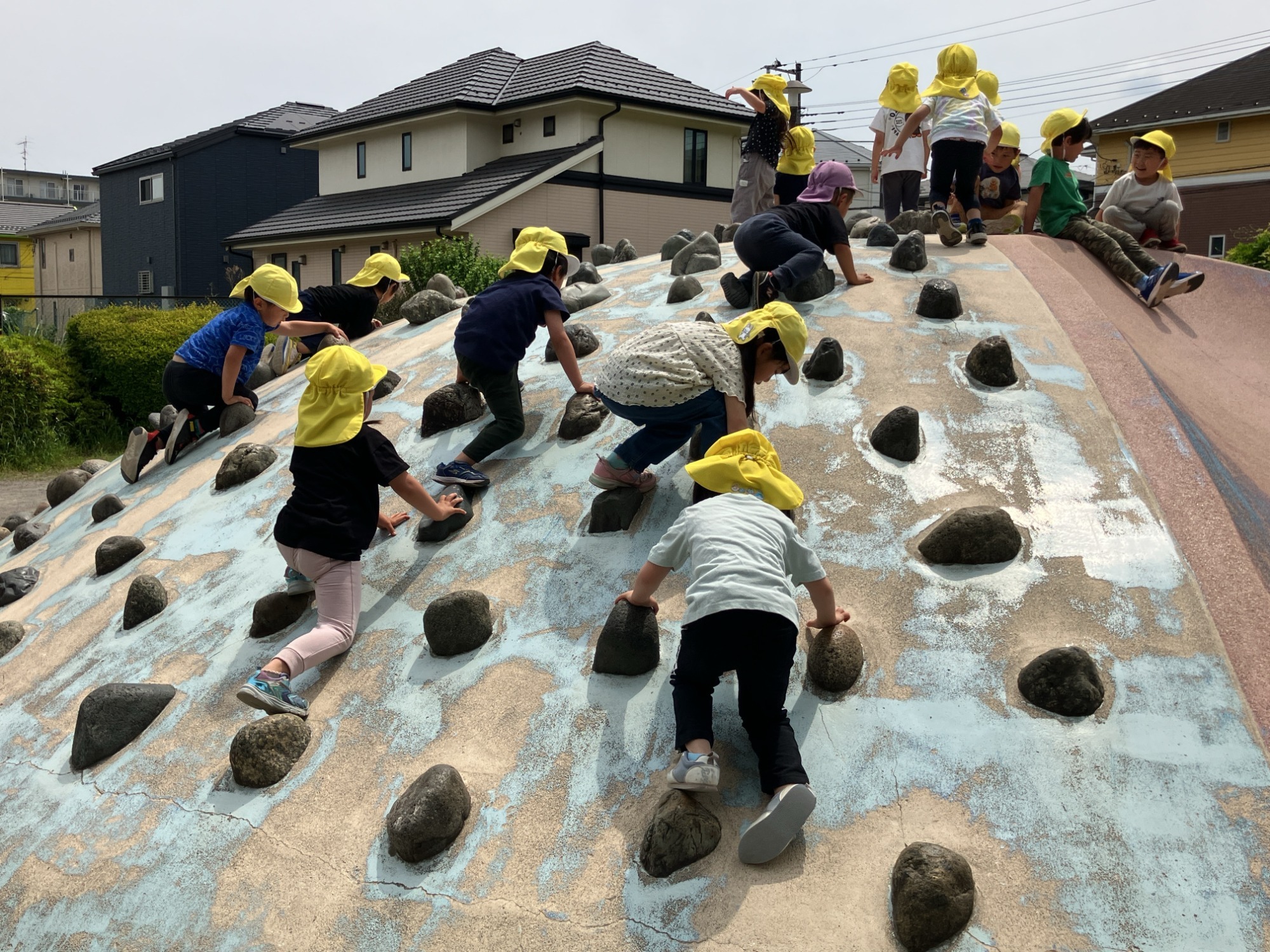 写真：森の中で遊ぶ子どもたち